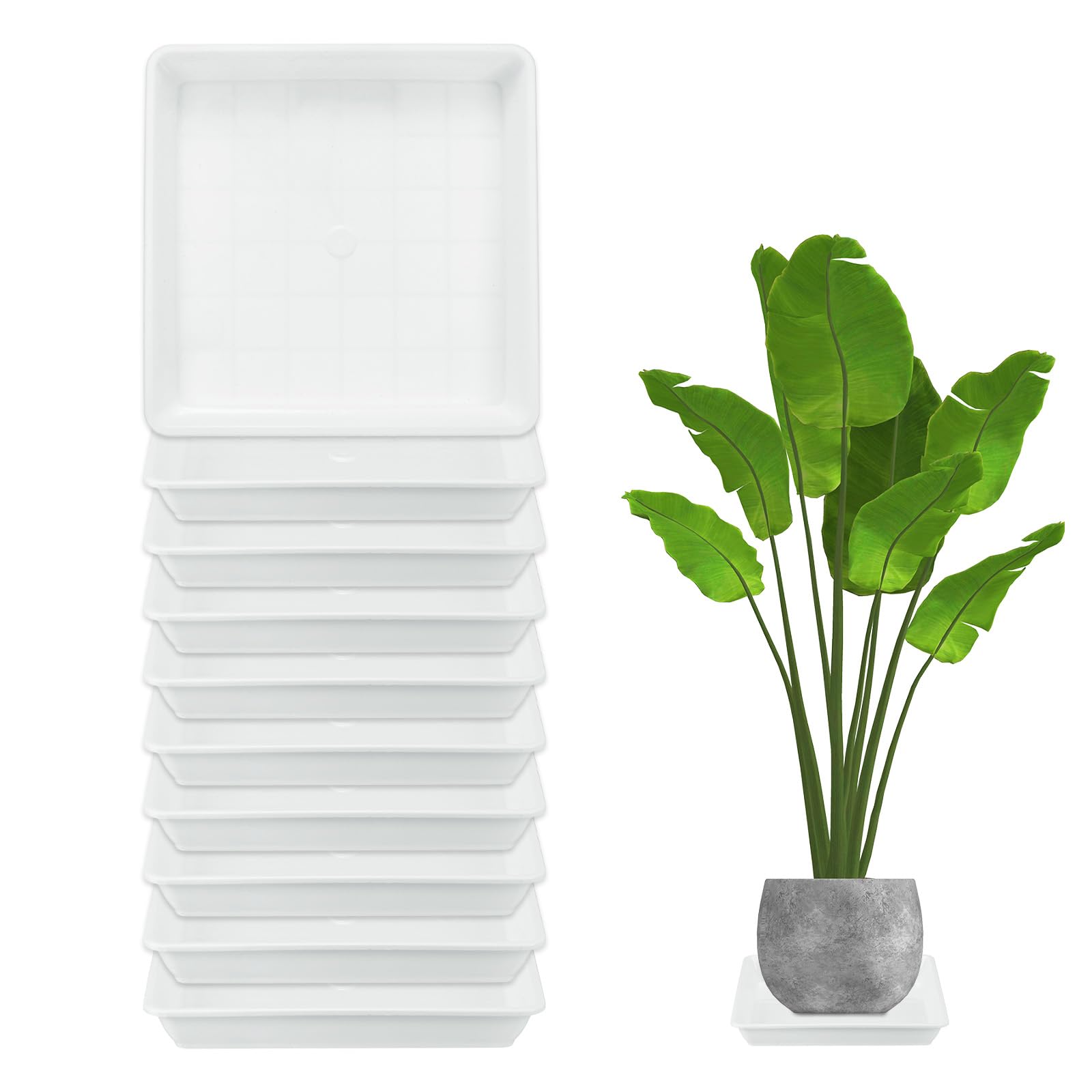 M METERXITY 10-Pack Plant Pot Saucers, 7 Inch 18cm Plastic Square Flower Drip Tray, Pot No Holes Durable Plant Trays for Pots Base Indoors/Outdoors Plants [White]
