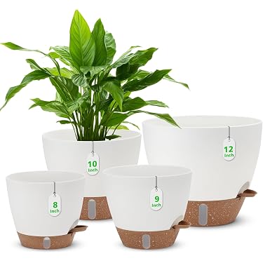 Amazon Best Sellers: Best Garden Pots