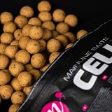 Mainline The Cell Shelf Life Cell 1kg 15mm Carp Boilie view 3
