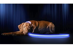 Illumiseen LED Light Up Dog Leash | Ultra High Visibility Up to 350 Yards | 3 Lighting Modes | USB Rechargeable, No Batteries Needed | Padded Handle & Rotating Swivel Clasp to Prevent Leash Tangling