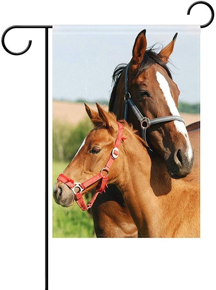 Amazon Com Anleygardeflagsu Unique Customize Decorative Horse
