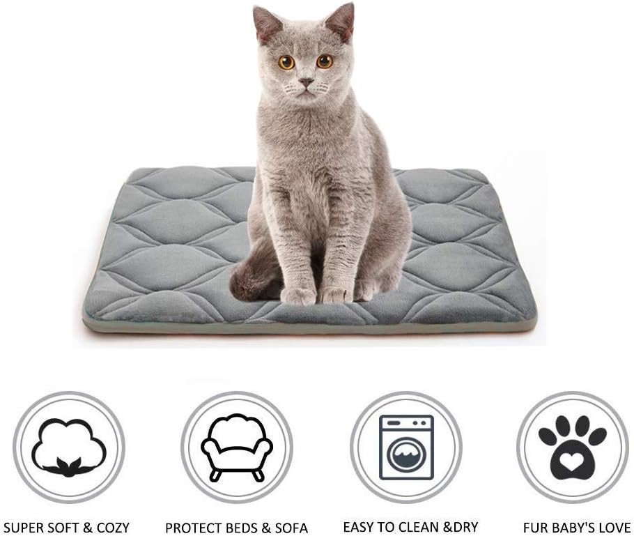 furrybaby Dog Bed Mat Crate Mat with Anti-Slip Bottom Machine Washable Pet Mattress for Dog Sleeping (XS 21x14'', Sliver Grey Mat)