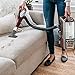 Shark Upright Vacuum Cleaner – DuoClean Technology for Carpet and Hardwood Floors - Swivel Steering, Detachable Canister, Lightweight - Pet Multi-Tool, Duster Crevice Tool – NV800W