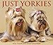Just Yorkies 2019 Box Calendar (Dog Breed Calendar)