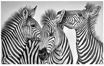 Crayon Peint à La Main Dessin Noir Et Blanc Abstrait Zèbre