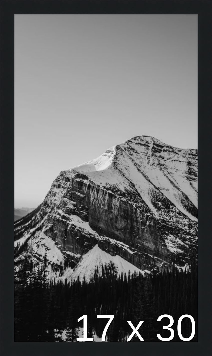 Photo 1 of ***SIMILAFR ITEM 11X26****
Frame It Easy 17 1/2 x 30 Black Frame (Wilton) 17.5x30 inches