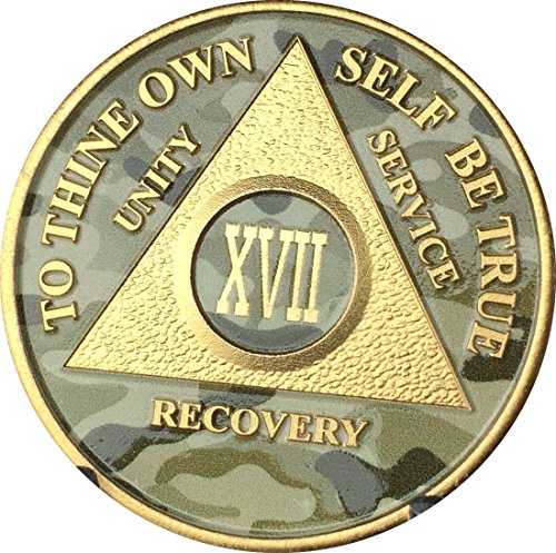 17 Year AA Medallion Camo Gold Plated Anniversary Chip Camouflage Color