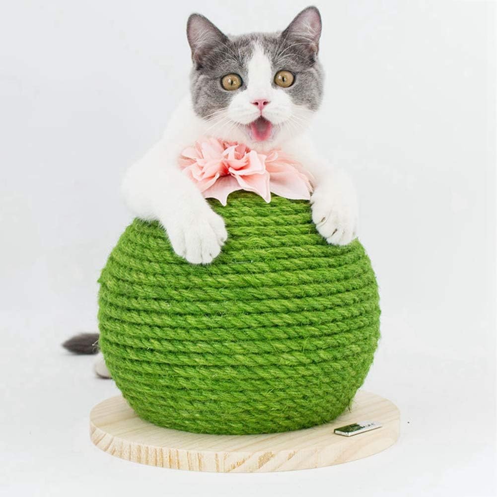 Gychee Griffoir Chat Forme De Boule De Cactus Poteau A Chat En Sisal Avec Fleur Et Socle En Bois Grattoir Chat Tour D Arbre Pour Chat Broyer La Patte Et Jouer Gychee Griffoir Chat Forme De Boule De Cactus Poteau A Chat En Sisal Avec Fleur Et Socle En Bois Grattoir Chat Tour D Arbre Pour Chat Broyer La Patte Et Jouer