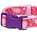 Blueberry Pet 5 Patterns Soft & Comfy Paisley Flower Print Girl Neoprene Padded Adjustable Dog Collar, Hot Pink, Small, Neck 12