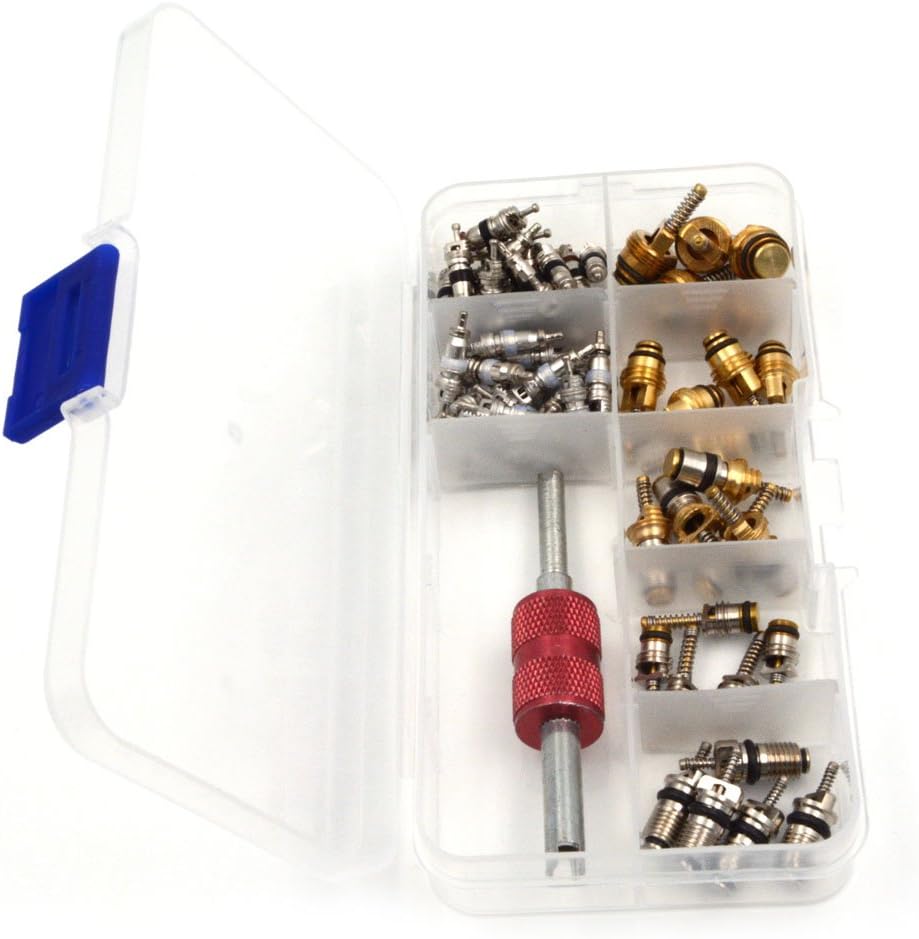 Nikauto 65Pcs Air Conditioned Valve Core and 1Pcs A/C R12 R134a Valve Stem Cores Remover Tool: Automotive