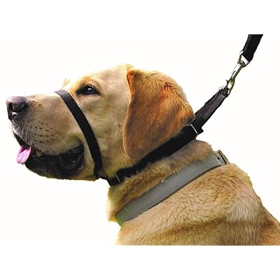 Canny Collar - The Collar for Dog Training and Walking, Helps with Dog Training and Helps to Stop Dogs Pulling on The Leash