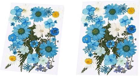 Amazon Co Jp Chiwanji 押し花 乾燥した花 ドライフラワー 乾燥葉 リーフ 約35ピース Diy レジンクラフト ネイルパーツ ホビー