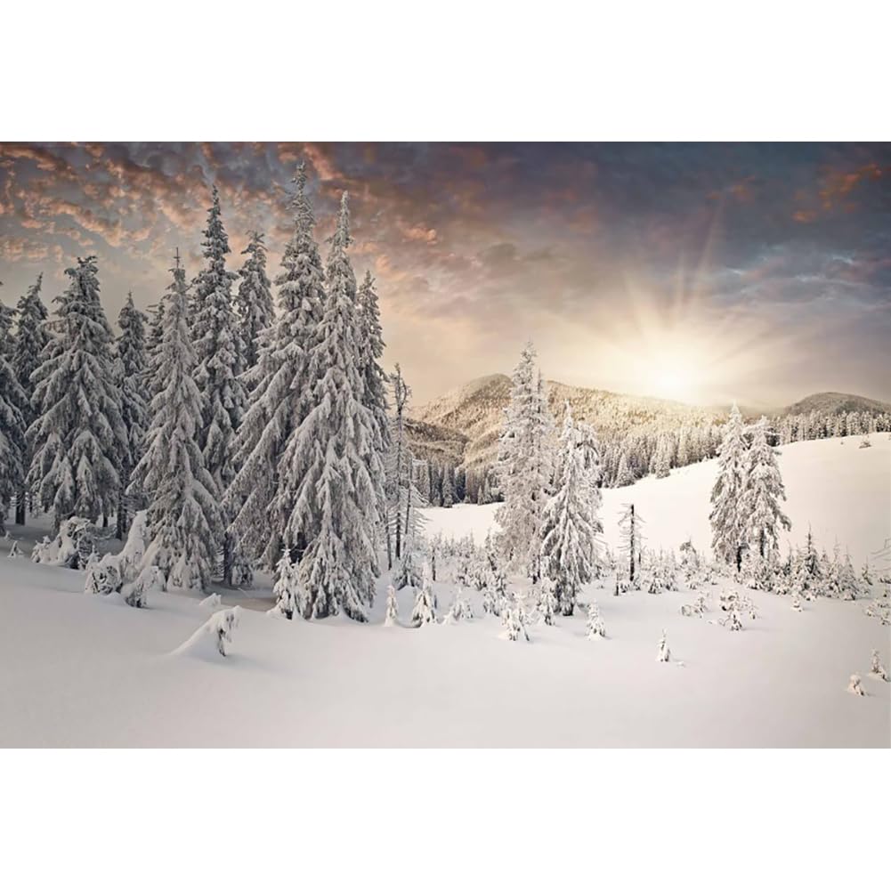 Winter Snow Scenery Photography Backdrop 10x6.5ft Winter Forest Snowy Landscape Background Pine Forest Frozen Woodland Wall Decor Photography Background