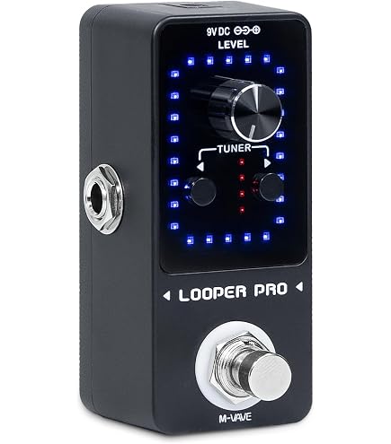 Amazon.com: EROK Looper Guitar Pedal, XS-02 Looper Pedal with 40