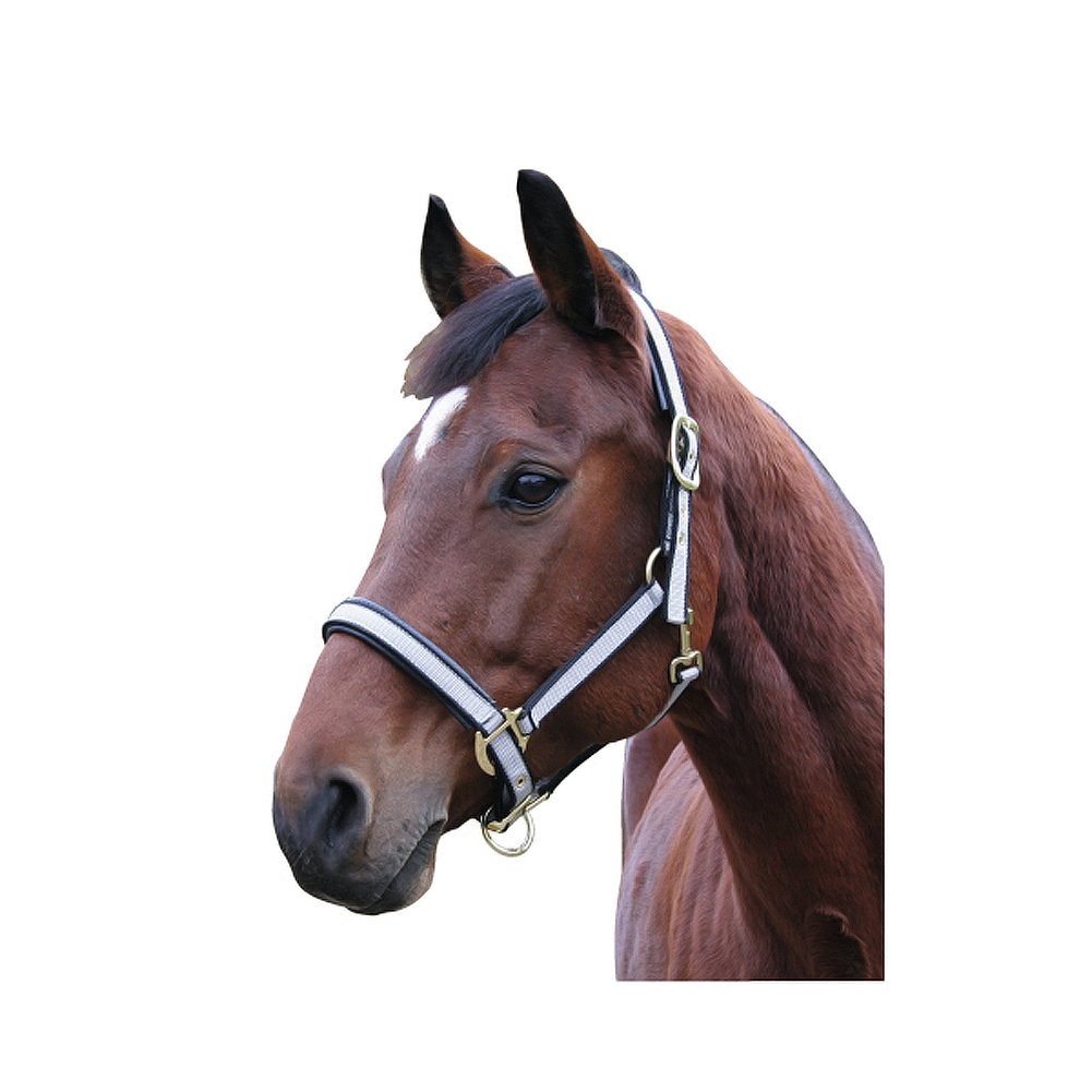 Kerbl Exclusive Head Collar - Grey, Size 1 — image 1