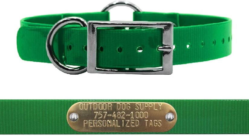 plastic dog collars with name plates