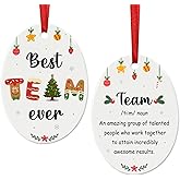 Best Team Christmas Ornaments for Coworkers 2025, Coworker Appreciation Gifts, Ceramic Ornaments for Christmas Office Decor, for Office Friends, Colleagues, Work Besties