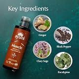 Ayumi Muscle Body Massage Oil Ginger Eucalyptus Skin Relaxation 250ml view 3