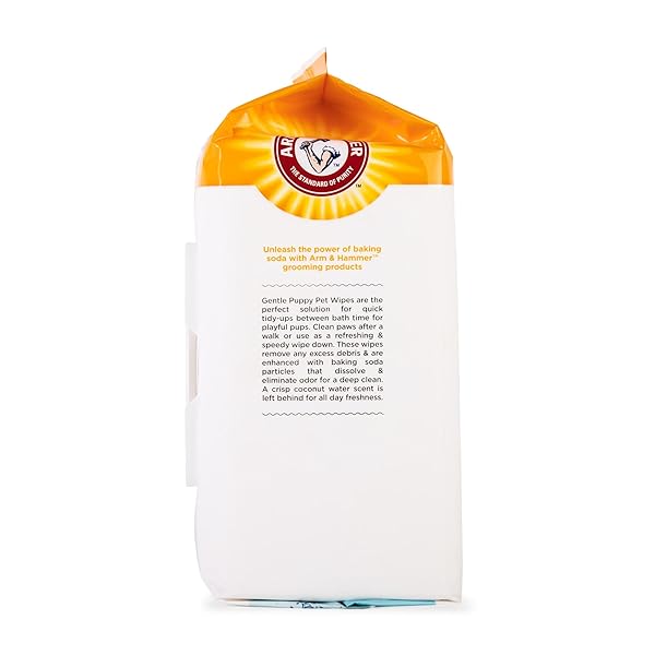 ARM & HAMMER DOG GROOMING WIPES, DEODORIZING DOG CLEANING WIPES WITH COCONUT WATER, GENTLE FOR DOGS AND PUPPIES, PARABEN AND SULFATE FREE FORMULA, LIGHT COCONUT SCENT, 100 COUNT – 3 PACK