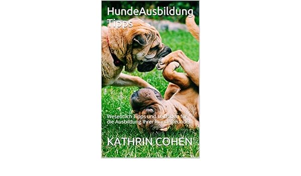 Hundeausbildung Tipps Wesentlich Tipps Und Leitfaden Für - 