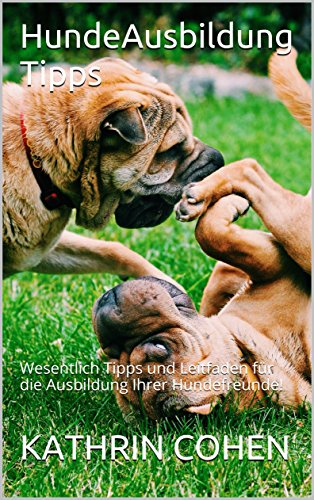Hundeausbildung Tipps Wesentlich Tipps Und Leitfaden Für - 