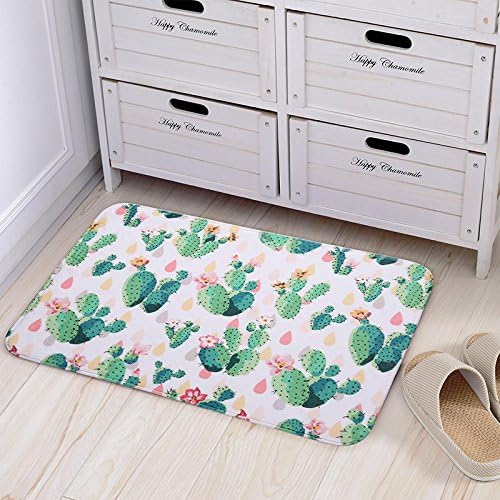 Doormat Cute Cactus Print Bedroom Mats Kitchen and Living Room/Bedroom Mats Floor Mat Rug Indoor (60cm90cm, C)