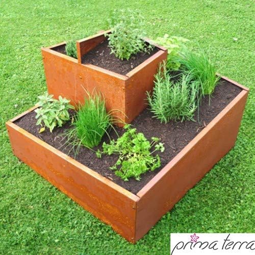 Prima Terra – Espiral de plantas aromáticas: Amazon.es: Jardín