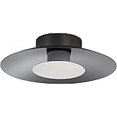 Golden Lighting Yep Luma Integrated LED Flush Mount in Graphite and Sand Nickel Shade