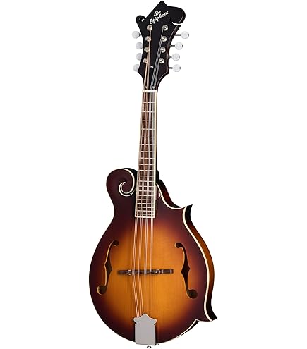 Amazon.com: The Loar LM-520-VS Performer F-Style Mandolin