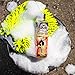 Chemical Guys CWS06916 Stripper Suds Premium Stripper Scent Car Wash Soap, 16 fl. oz