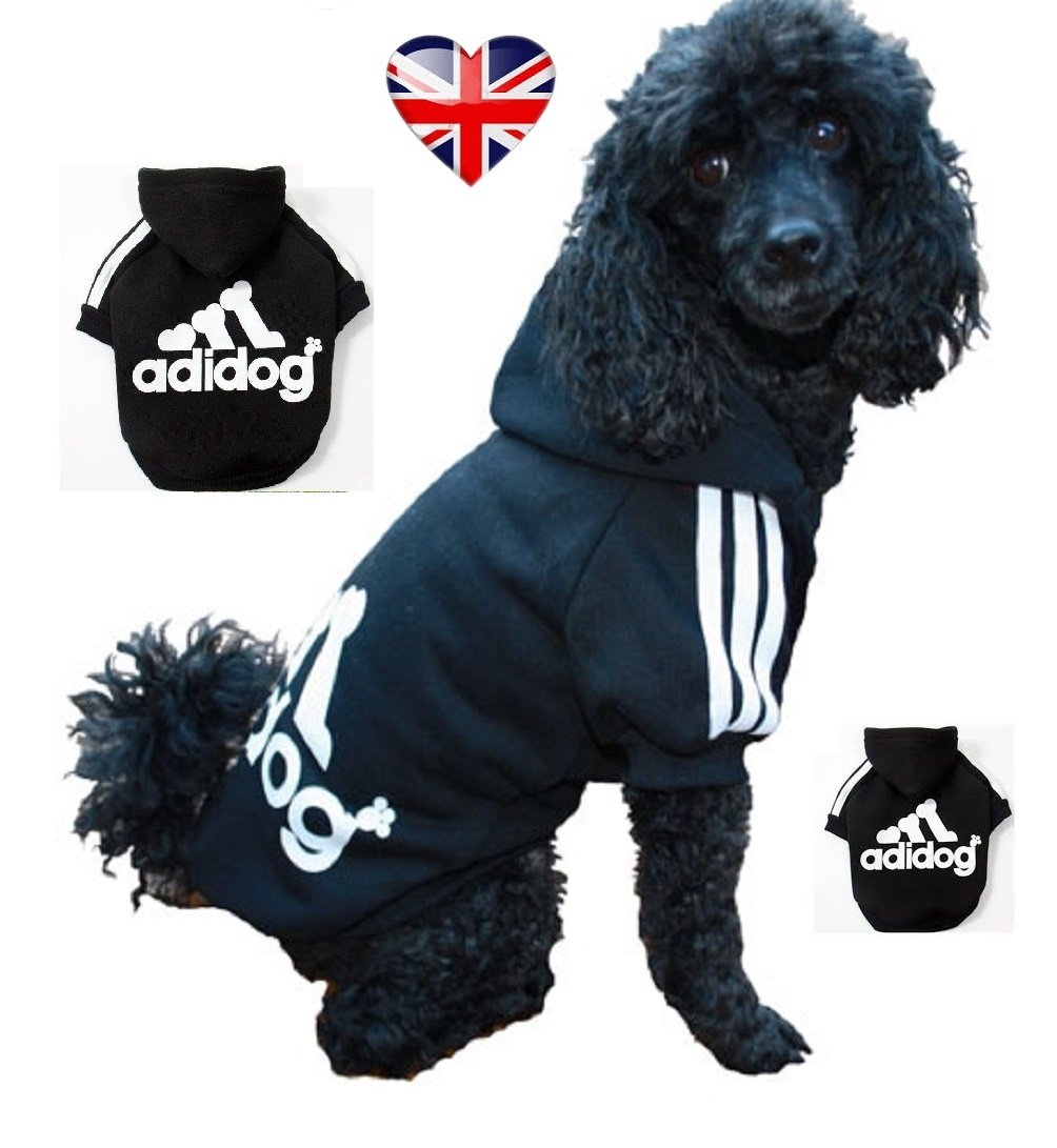 adidas dog