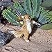 Miniature Fairy Garden Hobo Squirrel
