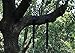 Ohuhu Tree Swing Hanging Kit, Holds Max 2500lbs 3.7ft Tree Swing Straps for Swings and Hammocks