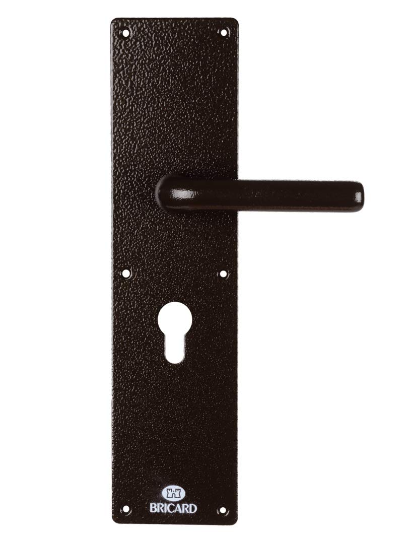 Bricard Demi-Ensemble 66180 Exterior Door Half Kit for Series 74 Standard Version Bronze