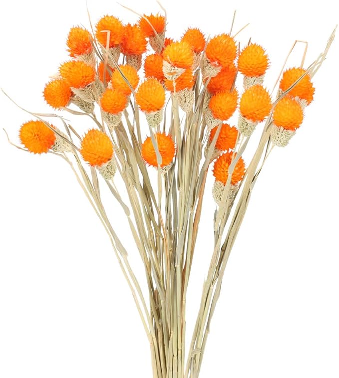 HUAESIN 30pcs Dried Flowers Bouquet Natural Dried Flowers Dried Real