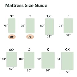 ZINUS 6 Inch Green Tea Memory Foam Mattress [New