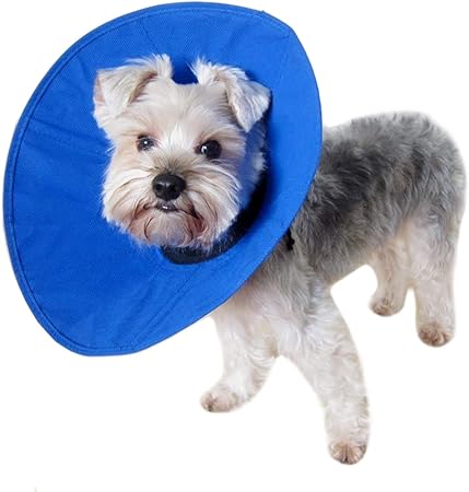 soft dog cone amazon