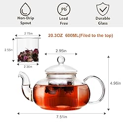 CNGLASS Glass Teapot Set,20oz Clear Tea Pot with 4
