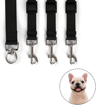 dog leads amazon
