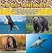 Cool Animals: In The Air, On Land and In The Sea: Animal Encyclopedia for Kids - Wildlife (Children's Animal Books) by Baby Professor
