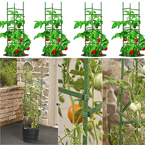 G-LEAF Sturdy Metal Garden Stakes 4 Ft Plastic Coated Steel Tube Plant Sticks for Tomato,Cucumber,Strawberry, Bean,Tree,Pack of 50 - Thumbnail 5