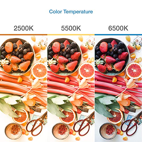 eTopLighting 6500K Continuous Light Bulb 65Watt Lighting Photography Lamp PB65 - Thumbnail 3