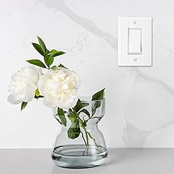 Questech Decor Light Switch Covers, Single Rocker