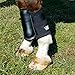 Woof Wear Sport Brushing Boots