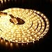 Brizled 18ft 216 LED Rope Lights, 120V UL Listed Plugin Rope Lights Connectable with Clear PVC Tube, Indoor/Outdoor Decorative Rope Lighting for Backyards, Garden, Patio, Christmas, Warm White(3000K)