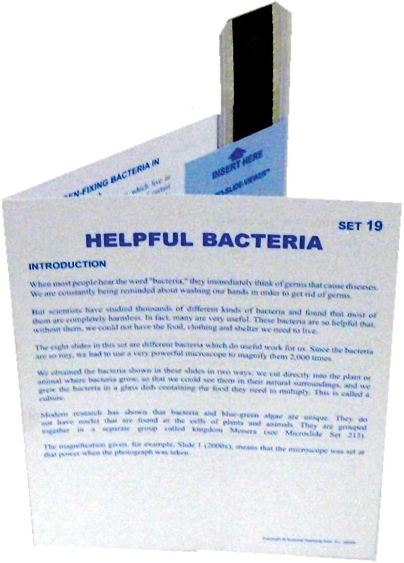 NTA Helpful Bacteria, Protozoa and Reproduction Microslide