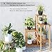 SONGMICS Bamboo Plant Stand, Flower Shelf, Display Rack, Adjustable Shelving Unit for Balcony, Bathroom, Living Room, Yard, Garden, Indoor, Outdoor, Natural UBCB92NLthumb 4