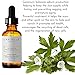 Laritelle Organic Face Serum, Rejuvenating, Nourishing, Vitamins and Antioxidants-rich Treatment for Face, Neck and Decollete, Luxurious, Silky, Smoothing, Balancing Serum for All Skin Types, 1 oz