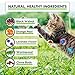 HerbalVet 10 Tablets Cat Intestinal Cleanse | Cat Dewormer Alternative | Cleansing Tablets for Cats, Promotes Intestinal Health | Helpful E-Book Included, 1 Bottle of Ten
