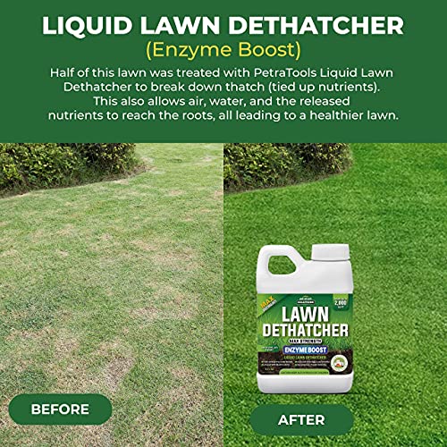 PetraTools Liquid Dethatcher, Lawn Dethatcher & Aerator, Grass